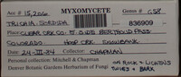 Image Associated With the Occurence